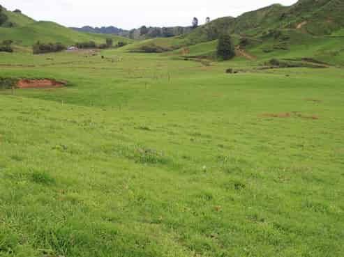 2829 Tarata Road, Tarata