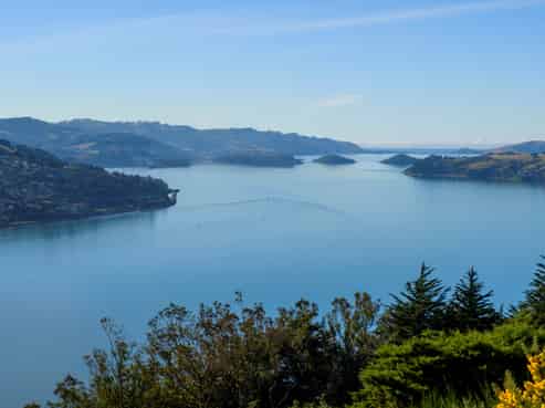 74 Connell Street, Waverley