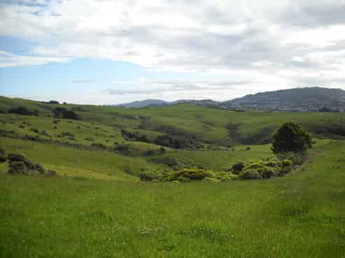 4 Van Der Velden Way, Horokiwi