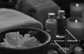 Stylish Beauty Salon