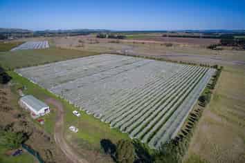 73 Mackenzies Road, Waipara