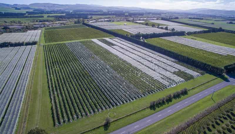 288 Georges Road, Waipara