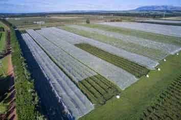 288 Georges Road, Waipara