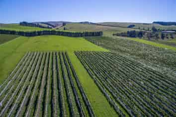 337 Mackenzies Road, Waipara