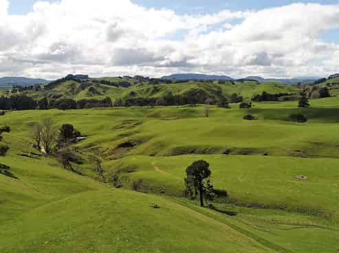 391 Te Weta Road, Waikite Valley