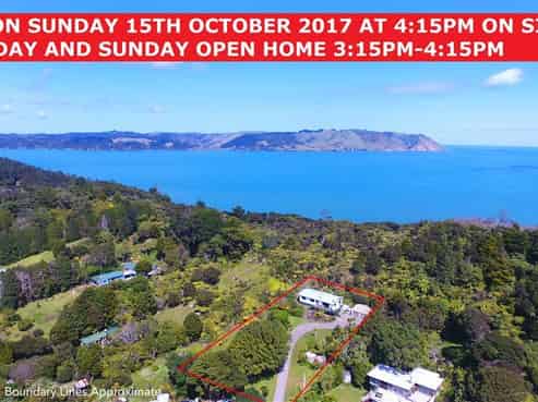 81 Cornwallis Road, Cornwallis