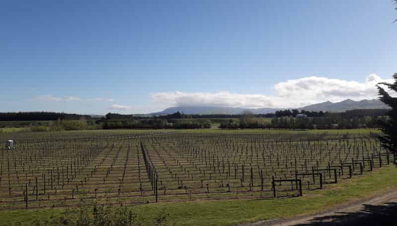 167 Mackenzies Road, 