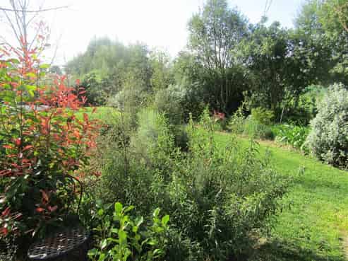 217 Struie Road, Hororata