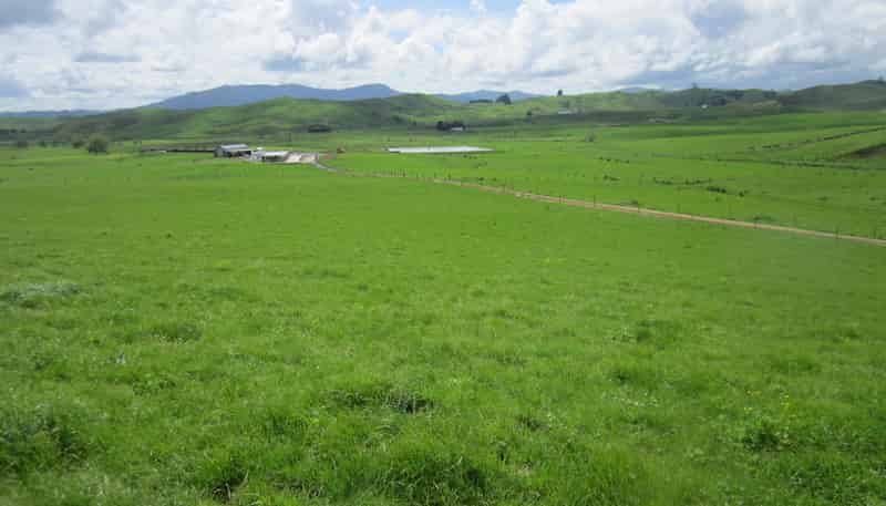 180 Manuel Road, Morrinsville