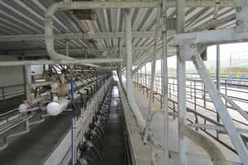 180 Manuel Road, Morrinsville