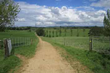 180 Manuel Road, Morrinsville