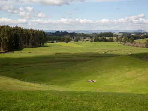 140 Tuhingamata Road, Oruanui