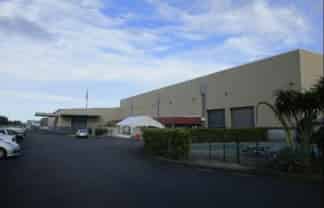 Go Large in East Tamaki