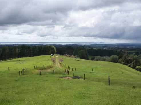 348D Rea Road, Katikati