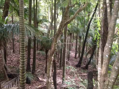 16 Waikarekare Lane, Karekare