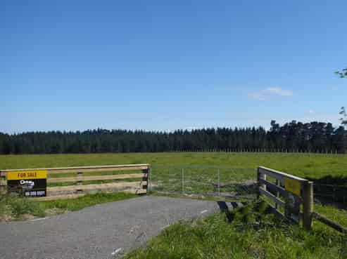 245 Ashhurst Road, Bunnythorpe