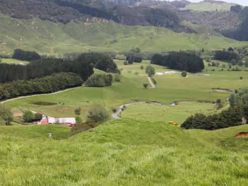 2896 State Highway 3, Mahoenui