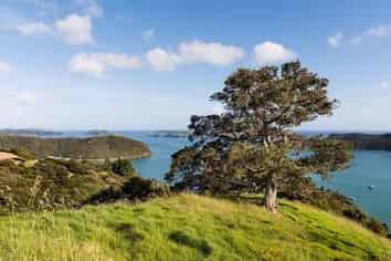 450 Manawaora Road, Russell