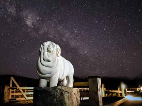  Merino Downs, Twizel