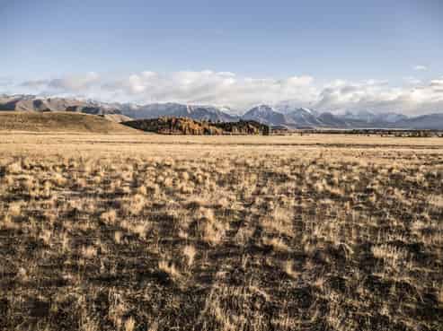  Merino Downs, Twizel