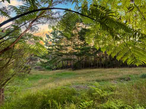 55 Screen Road, Coatesville