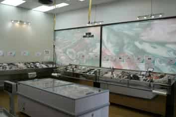 URGENT FISH SHOP SALE!