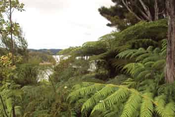 Lot 7 Paine Brown Way, Russell