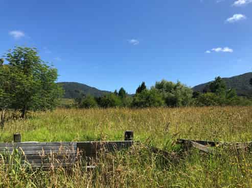 1158 Broadwood Road, Herekino