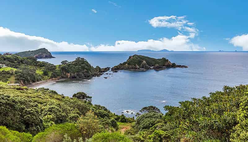 45a Dolphin Place, Tutukaka