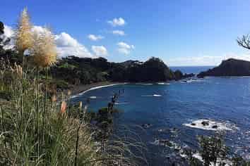 45a Dolphin Place, Tutukaka