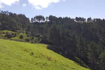 00 Rodney Road, Leigh