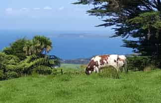 00 Rodney Road, Leigh