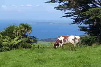 00 Rodney Road, Leigh