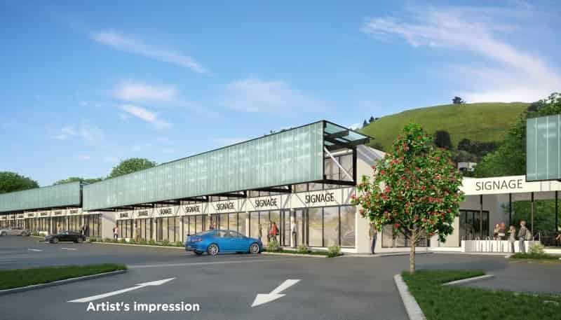 71 Jellicoe Road, Panmure