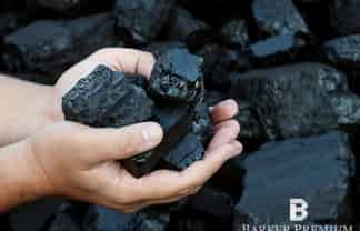 Thermal Coal Resource - New Zealand