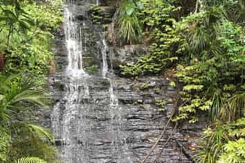 65 Rodney Road, Leigh