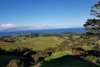 65 Rodney Road, Leigh