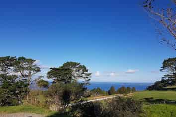 65 Rodney Road, Leigh