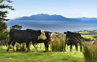 Lot 2 Rodney Road, Pakiri