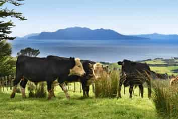 Lot 2 Rodney Road, Pakiri