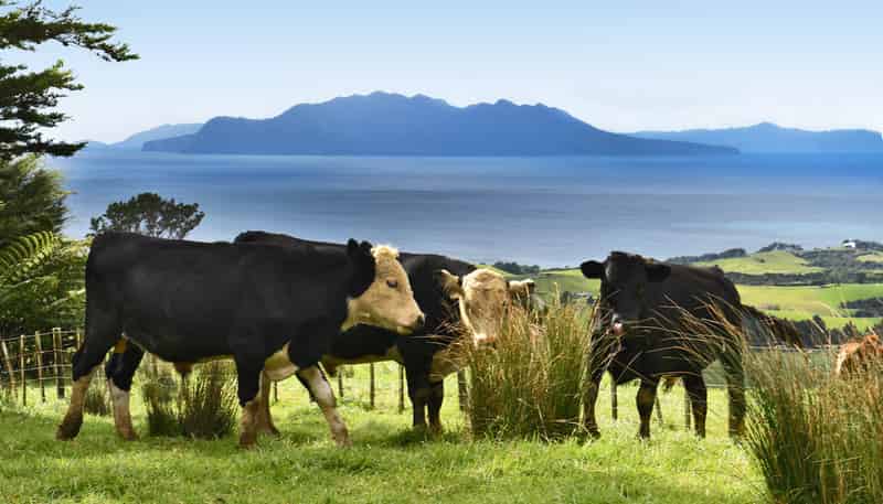 Lot 2 Rodney Road, Pakiri