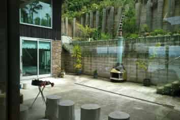 19 Buckley track, Albany