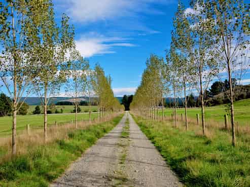 2816 Herbert-hampden Road, Waianakarua