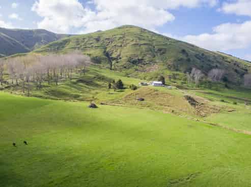 1586 Omana Road, Tangiteroria