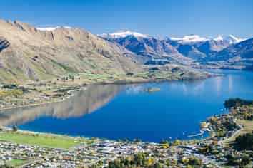 Wanaka Rental Car Business