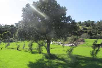 Northland - Address withheld