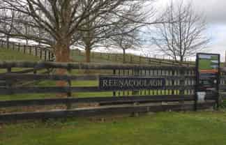 68 Urquhart Road, Karaka