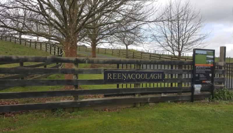 68 Urquhart Road, Karaka