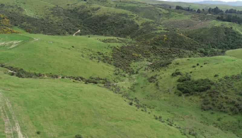 86 West Maerewhenua Road, Maerewhenua