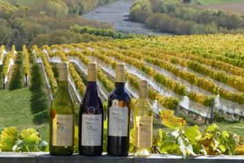 Pukeora Winery and Vineyard